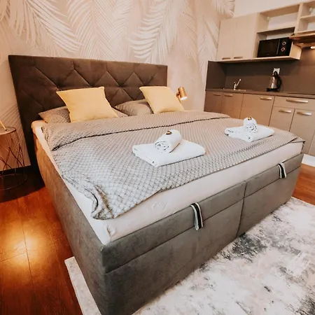 Citybeat Apartments, 400m From The Square * 比尔森