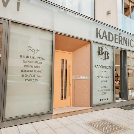 Citybeat Apartments, 400m From The Square * Plzen